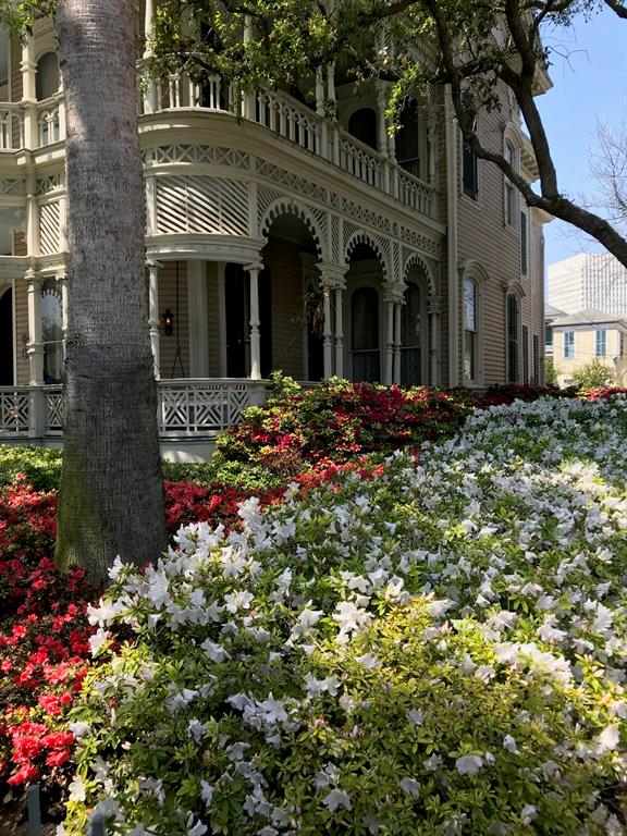 Victorian mansion with flowering azaleas
